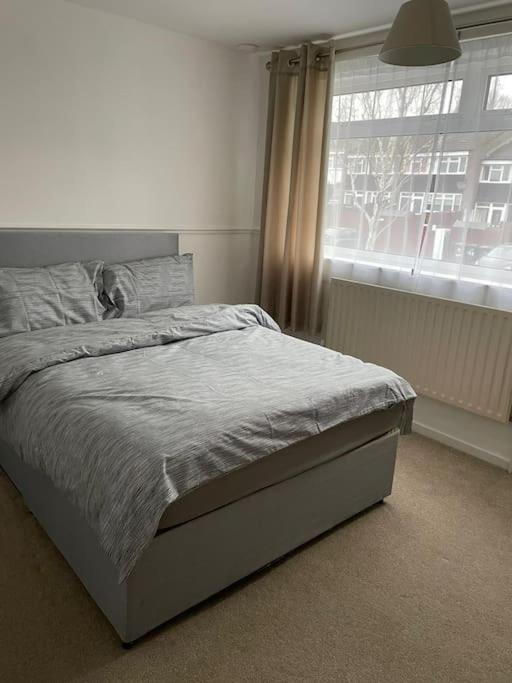 Xxxxxxxxxxxxxxx Appartement *